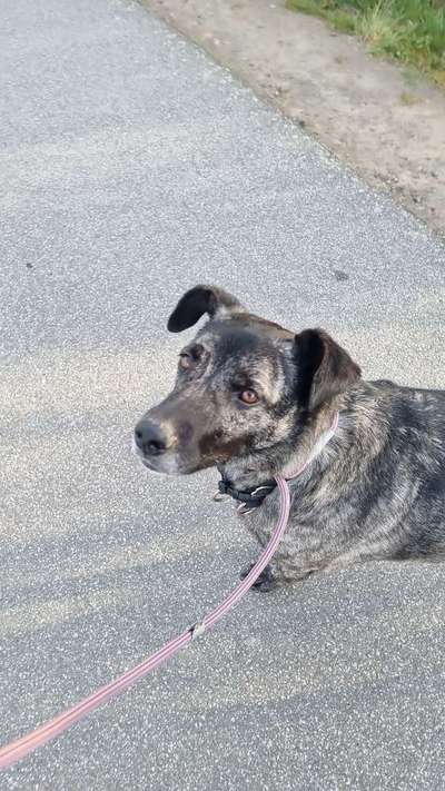 Zeigt mir doch mal eure Dreckspätze-Beitrag-Bild