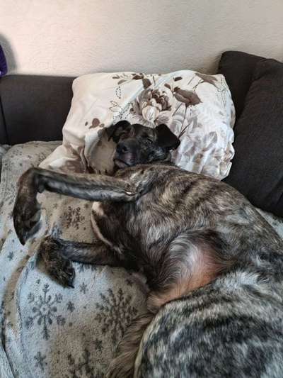 Was steckt in Lilly?-Beitrag-Bild