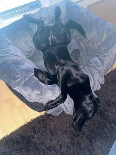 Die unbequemsten und lustigsten Schlafpositionen-Beitrag-Bild