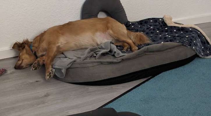 Foto Challenge Nr. 134-Beitrag-Bild