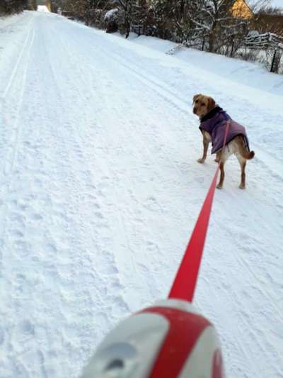 Der erste Schnee, zeigt uns eure tollen Schneemomente-Beitrag-Bild