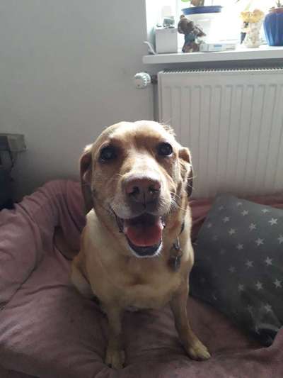 Lieblingsbild-Beitrag-Bild