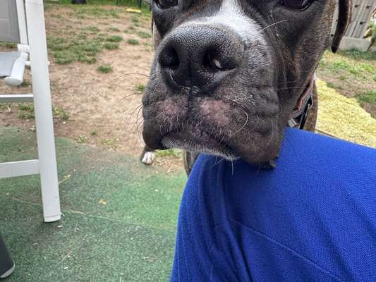 Ausschlag?-Beitrag-Bild