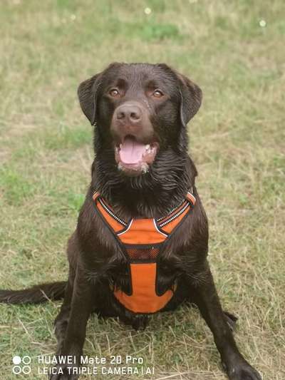 Handyfoto challenge Nr. 13: Waschlappen raus!-Beitrag-Bild