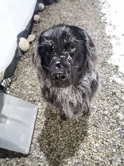 13. Farben-Fotochallenge "Grau"-Beitrag-Bild