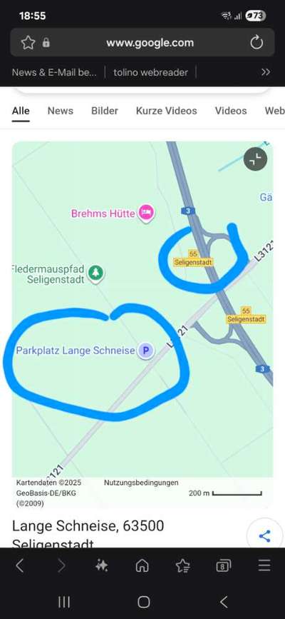 Hundepausen entlang der Autobahnen-Beitrag-Bild