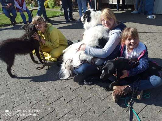 Hundmenschfotos-Beitrag-Bild