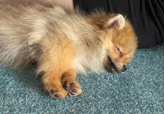 Foto Challenge 82-Beitrag-Bild