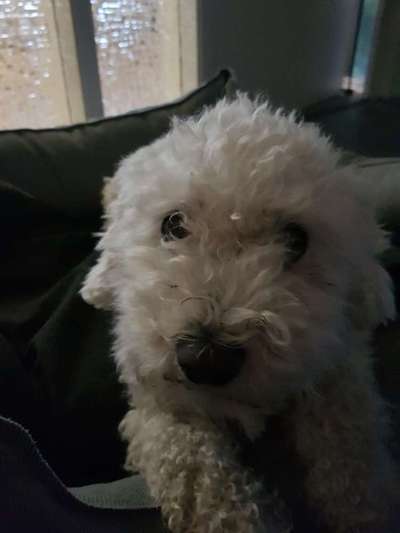 Fotochallange Nr. 57     PORTRÄT.   Beendet!!!!!!!!-Beitrag-Bild