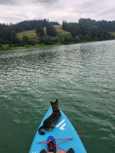 Dogorama Photo Challenge - Urlaubsziele-Beitrag-Bild