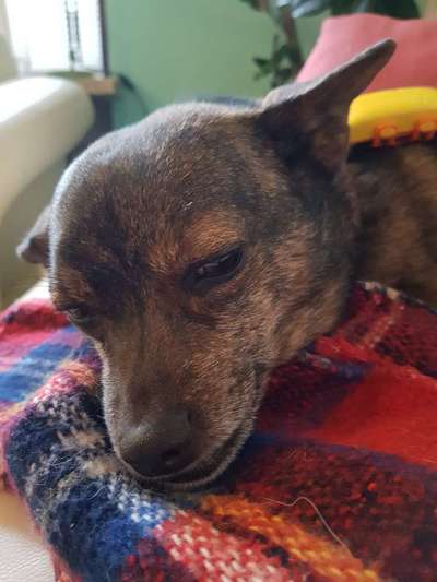 Fotochallange Nr. 57     PORTRÄT.   Beendet!!!!!!!!-Beitrag-Bild