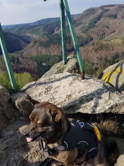 Fotochallenge Nr 107-Beitrag-Bild