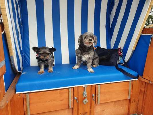 die letzten Jahre mit Malin geniessen.-Beitrag-Bild