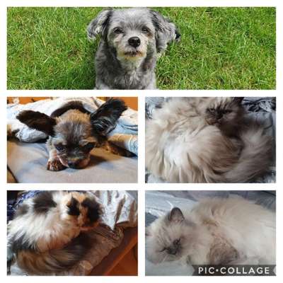 die letzten Jahre mit Malin geniessen.-Beitrag-Bild