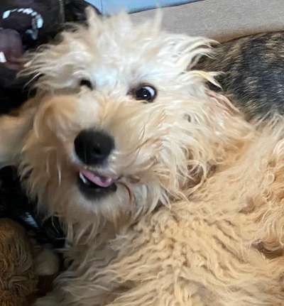 Handy-foto Challange nr. 11-Beitrag-Bild