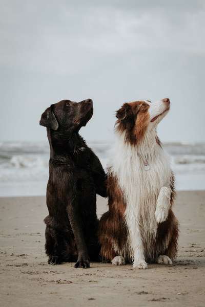 Eure Strandbilder :)-Beitrag-Bild