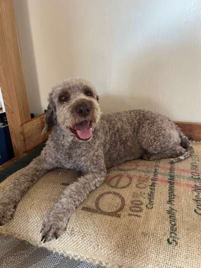 Gangbild/-analyse-Beitrag-Bild