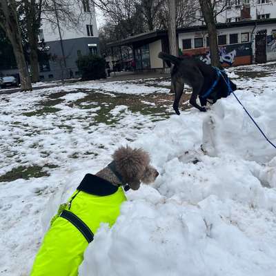 "Wege zur Freundschaft" (Ulli Reichmann)-Beitrag-Bild