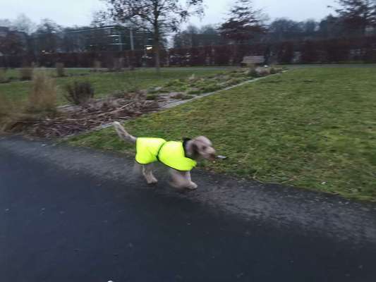 Was hat euch heute gefreut?-Beitrag-Bild