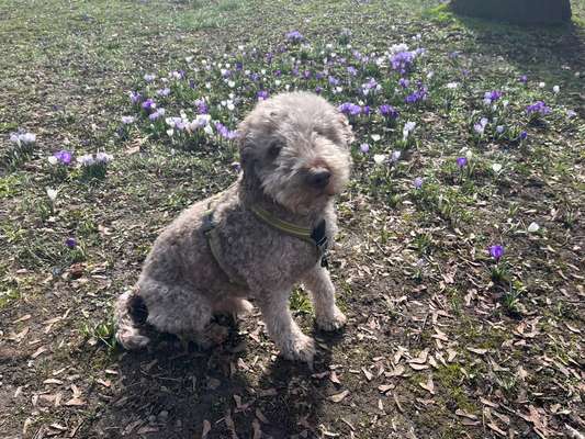 Gangbild/-analyse-Beitrag-Bild