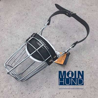 Wie sitzt mein Maulkorb / Maulkorb-Beratung-Beitrag-Bild