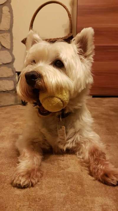 Zeigt eure Portraits-Beitrag-Bild