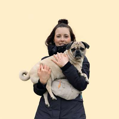 Tierfotografie Lieblingshundefotografie in Niestetal  – Dogorama