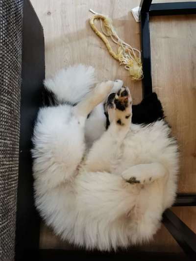 Die unbequemsten und lustigsten Schlafpositionen-Beitrag-Bild