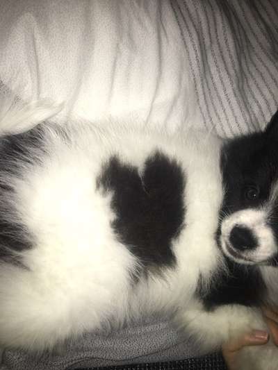 Blick fürs Detail!-Beitrag-Bild