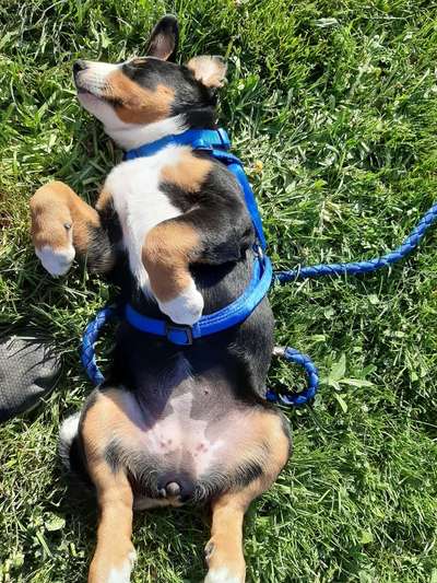 Fotochallenge Nr.65-Beitrag-Bild