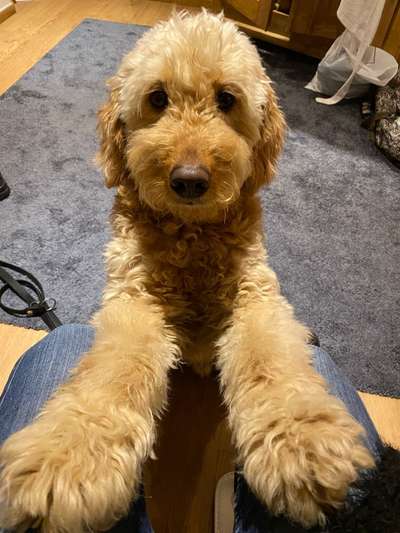 Handy-Foto Challange Nr. 10-Beitrag-Bild