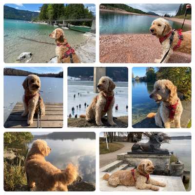 45. Collage Challenge - Lieblingsurlaubs/ Ausflugsziele-Beitrag-Bild