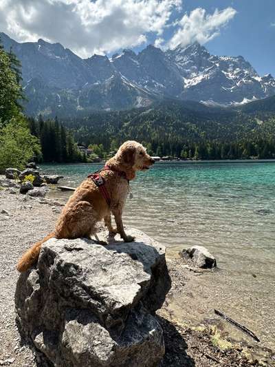 57. Handy Foto Challenge - klettern-Beitrag-Bild