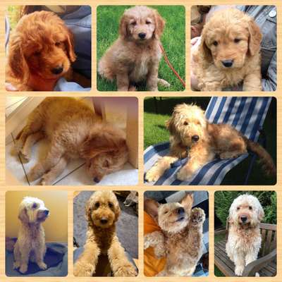 Sie werden so schnell groß!-Beitrag-Bild