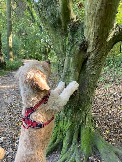 25. Handy Foto Challenge-Beitrag-Bild