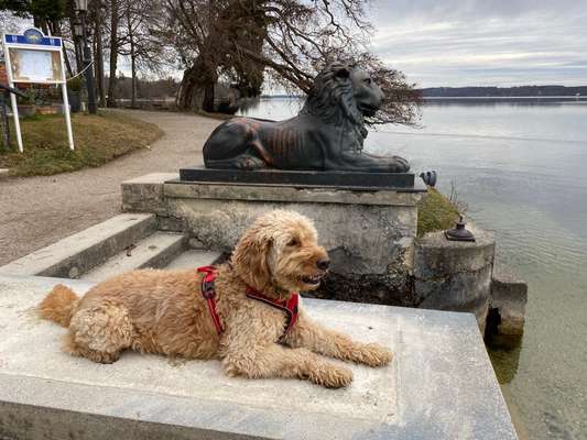 82. Foto Challenge: Skulptur/ Denkmal-Beitrag-Bild