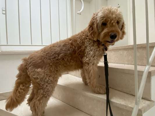 21. Handy-Foto-Challenge-Beitrag-Bild