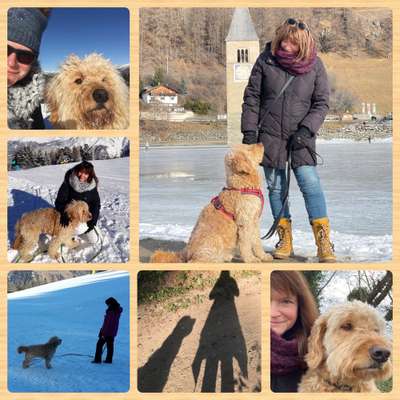 21. Collage Challenge 
Du und dein Hund-Beitrag-Bild