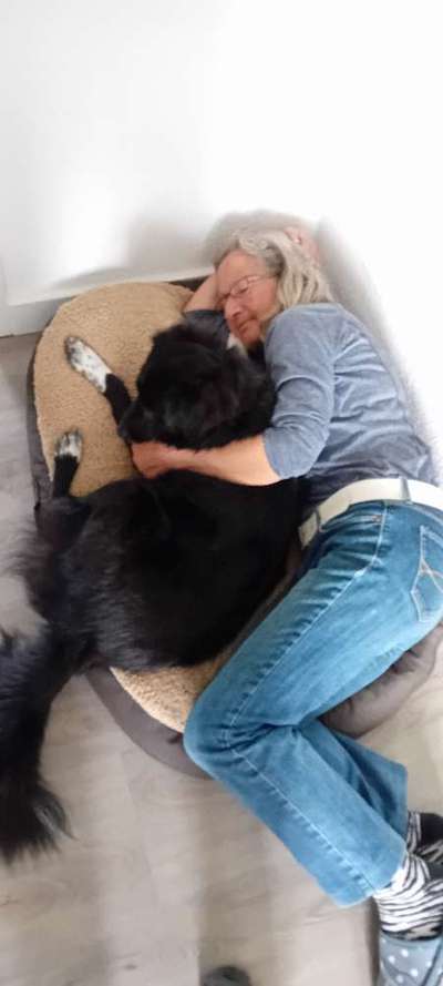 Wie kamst du zu deinem Hund?-Beitrag-Bild