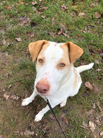 Zutreffende "Vorurteile"?-Beitrag-Bild