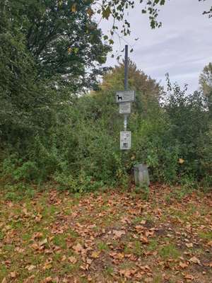 Hundeauslaufgebiet-Arminstraße-Bild