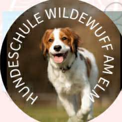 Hundeschulen-Hundeschule WildeWuff am Elm-Bild