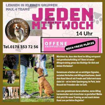 Giftköder-Training für Menschen mit Hund-Bild