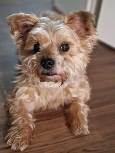 Übergangszellkarzinom in der Blase, OP, Rückfall – was tun?-Beitrag-Bild