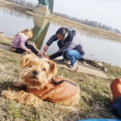 Übergangszellkarzinom in der Blase, OP, Rückfall – was tun?-Beitrag-Bild