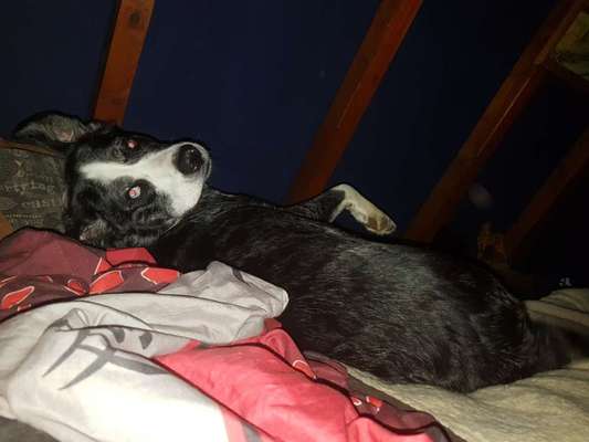 LUSTIGE FOTOS! WER KANN MITHALTEN?-Beitrag-Bild