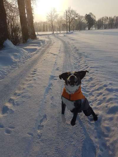 LUSTIGE FOTOS! WER KANN MITHALTEN?-Beitrag-Bild