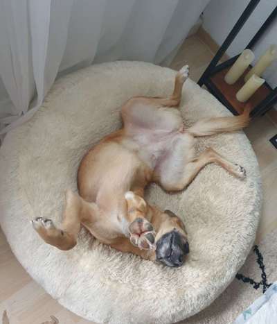 Fotochallenge Nr.65-Beitrag-Bild