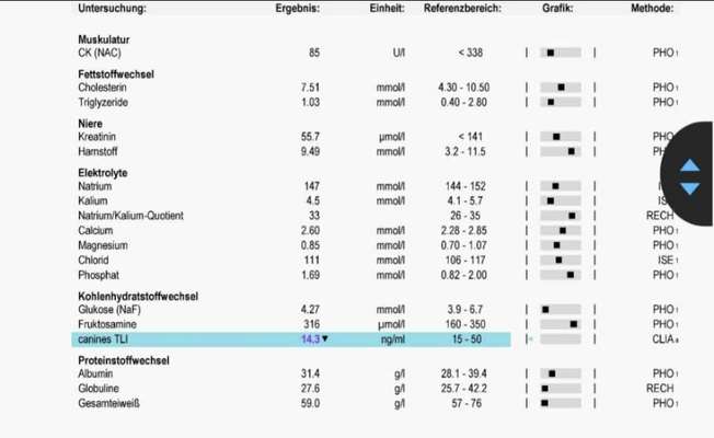 Durchfall - Ärzte ratlos-Beitrag-Bild