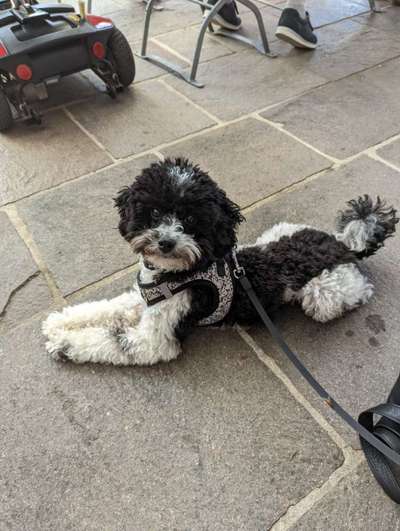 LUSTIGE FOTOS! WER KANN MITHALTEN?-Beitrag-Bild